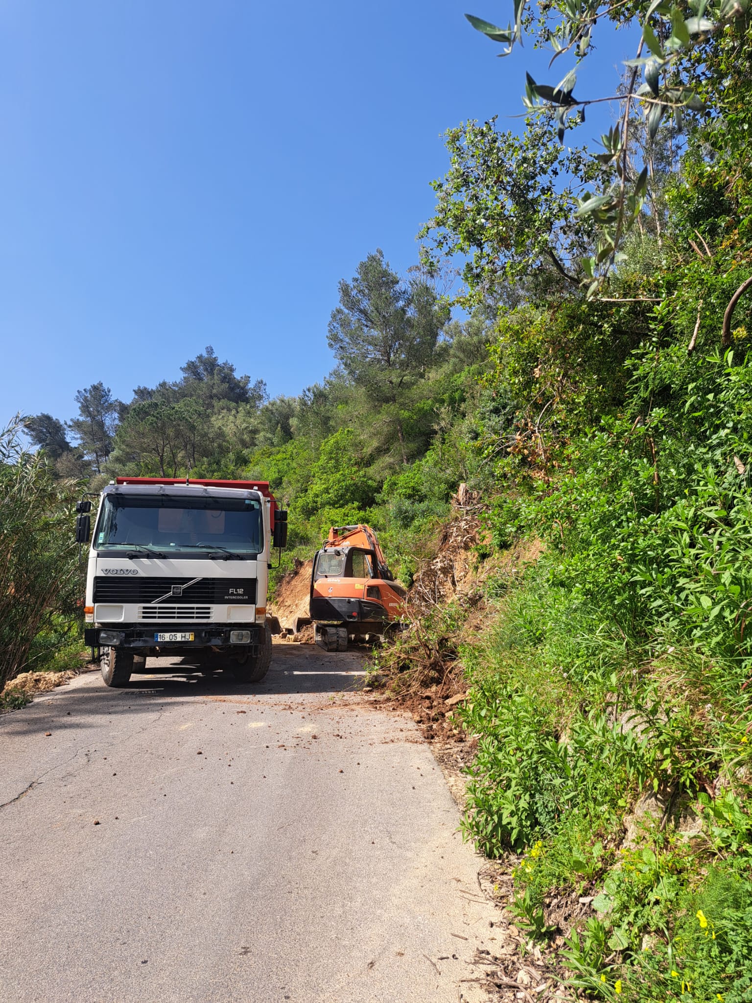 Trabalho Pitada Dinâmica